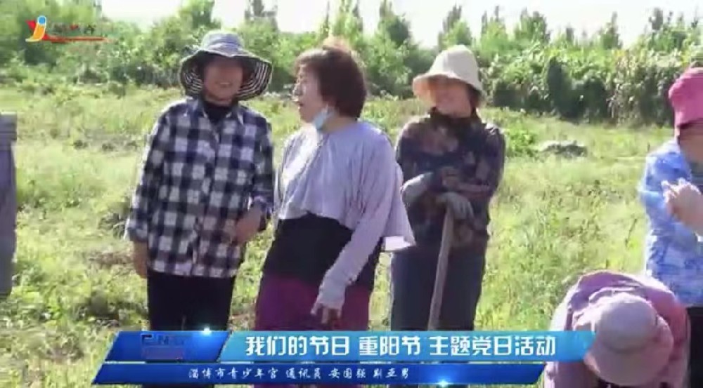 我们的节日重阳节主题党日活动